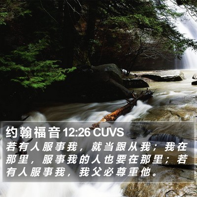 约 翰 福 音 12:26 CUVS Bible Verse Image