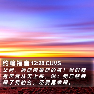 约 翰 福 音 12:28 CUVS Bible Verse Image