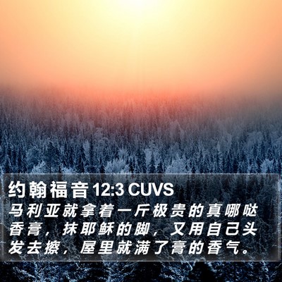 约 翰 福 音 12:3 CUVS Bible Verse Image