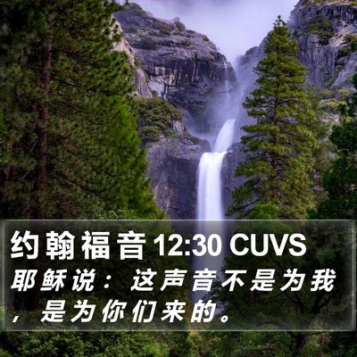 约 翰 福 音 12:30 CUVS Bible Verse Image
