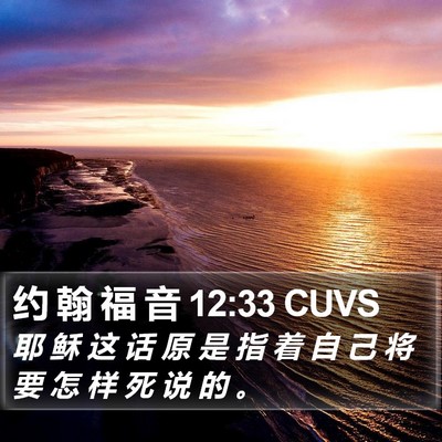 约 翰 福 音 12:33 CUVS Bible Verse Image