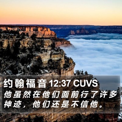 约 翰 福 音 12:37 CUVS Bible Verse Image