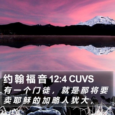 约 翰 福 音 12:4 CUVS Bible Verse Image
