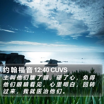 约 翰 福 音 12:40 CUVS Bible Verse Image