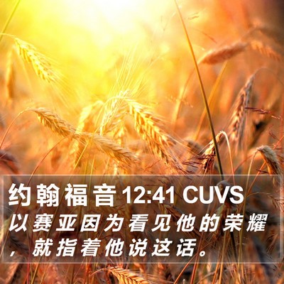 约 翰 福 音 12:41 CUVS Bible Verse Image