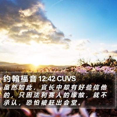 约 翰 福 音 12:42 CUVS Bible Verse Image