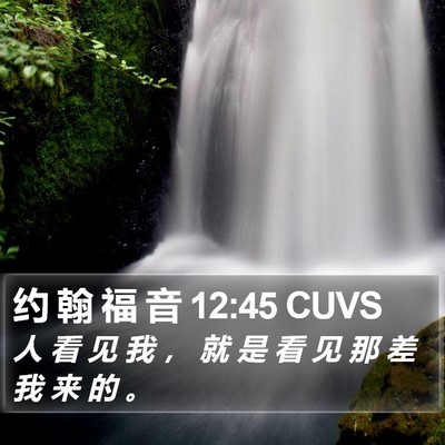 约 翰 福 音 12:45 CUVS Bible Verse Image