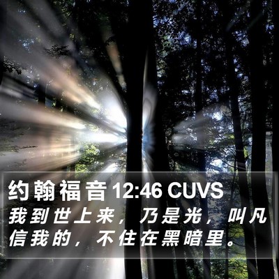 约 翰 福 音 12:46 CUVS Bible Verse Image