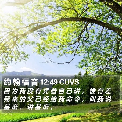 约 翰 福 音 12:49 CUVS Bible Verse Image