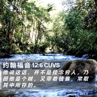 约 翰 福 音 12:6 CUVS Bible Verse Image