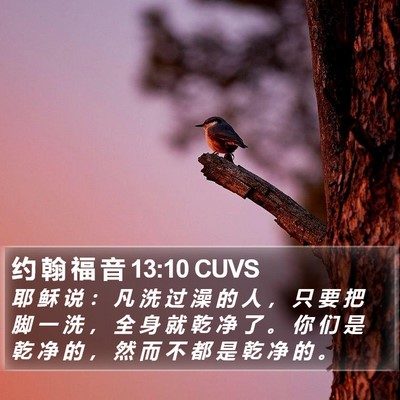 约 翰 福 音 13:10 CUVS Bible Verse Image