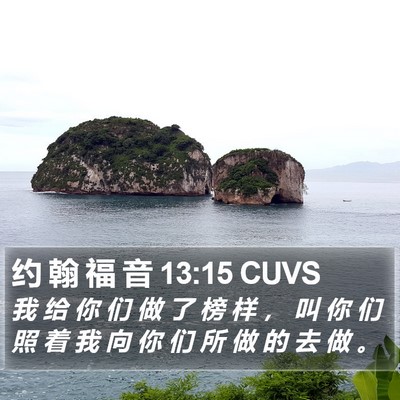 约 翰 福 音 13:15 CUVS Bible Verse Image