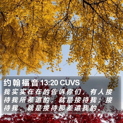 约 翰 福 音 13:20 CUVS Bible Verse Image