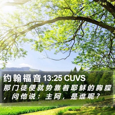 约 翰 福 音 13:25 CUVS Bible Verse Image