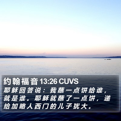 约 翰 福 音 13:26 CUVS Bible Verse Image