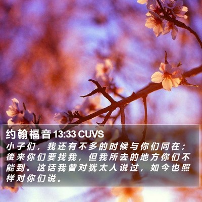 约 翰 福 音 13:33 CUVS Bible Verse Image