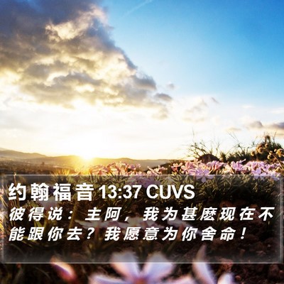 约 翰 福 音 13:37 CUVS Bible Verse Image