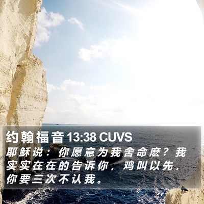 约 翰 福 音 13:38 CUVS Bible Verse Image