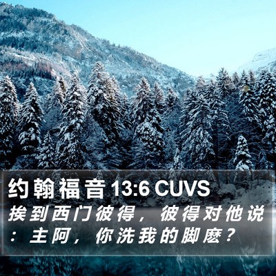 约 翰 福 音 13:6 CUVS Bible Verse Image