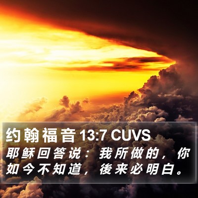约 翰 福 音 13:7 CUVS Bible Verse Image