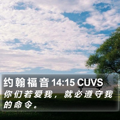 约 翰 福 音 14:15 CUVS Bible Verse Image