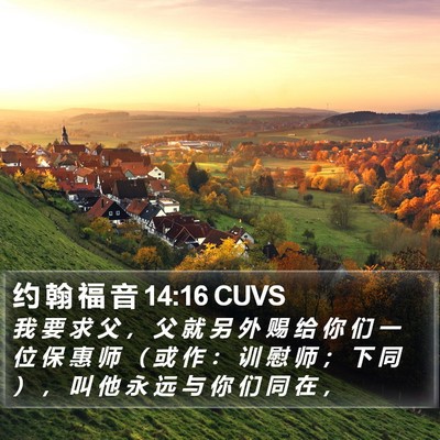 约 翰 福 音 14:16 CUVS Bible Verse Image