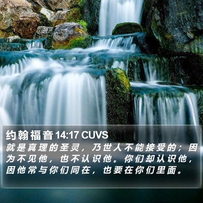 约 翰 福 音 14:17 CUVS Bible Verse Image