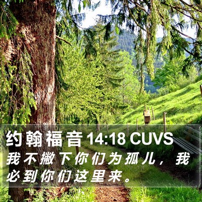 约 翰 福 音 14:18 CUVS Bible Verse Image