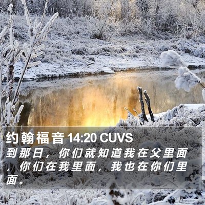 约 翰 福 音 14:20 CUVS Bible Verse Image