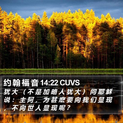 约 翰 福 音 14:22 CUVS Bible Verse Image