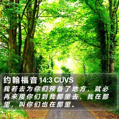 约 翰 福 音 14:3 CUVS Bible Verse Image