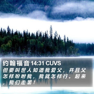 约 翰 福 音 14:31 CUVS Bible Verse Image