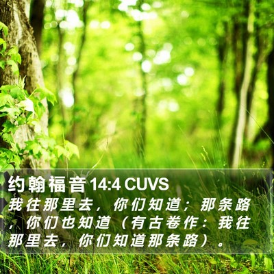 约 翰 福 音 14:4 CUVS Bible Verse Image