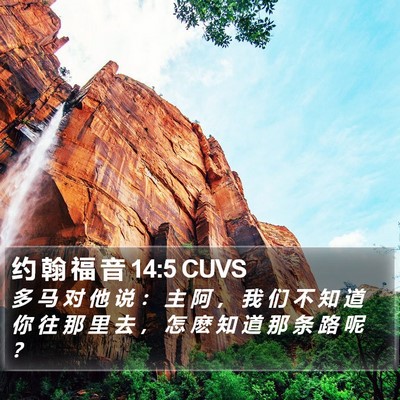 约 翰 福 音 14:5 CUVS Bible Verse Image