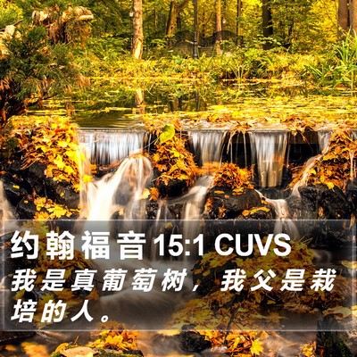 约 翰 福 音 15:1 CUVS Bible Verse Image