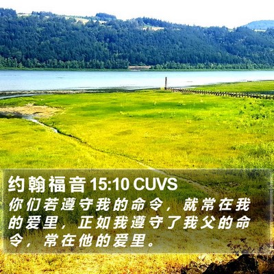 约 翰 福 音 15:10 CUVS Bible Verse Image