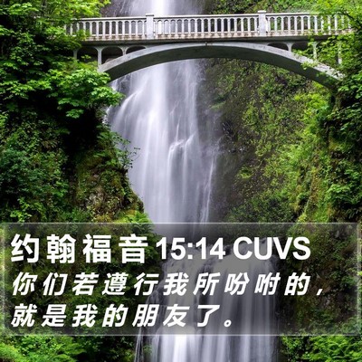 约 翰 福 音 15:14 CUVS Bible Verse Image