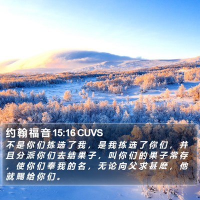 约 翰 福 音 15:16 CUVS Bible Verse Image