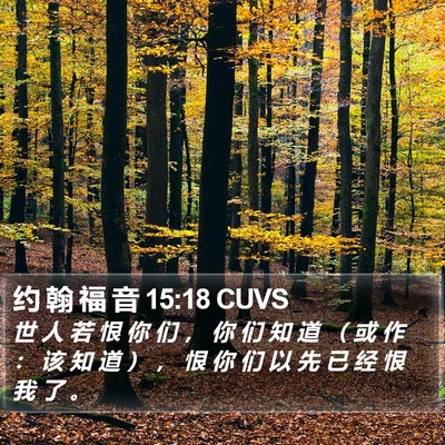 约 翰 福 音 15:18 CUVS Bible Verse Image