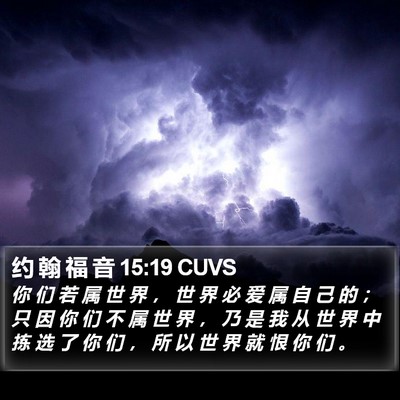 约 翰 福 音 15:19 CUVS Bible Verse Image
