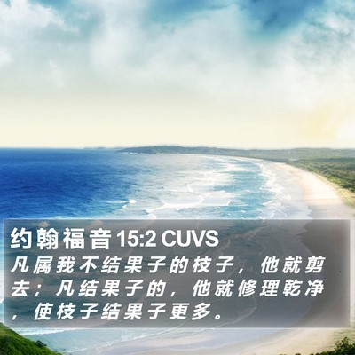 约 翰 福 音 15:2 CUVS Bible Verse Image