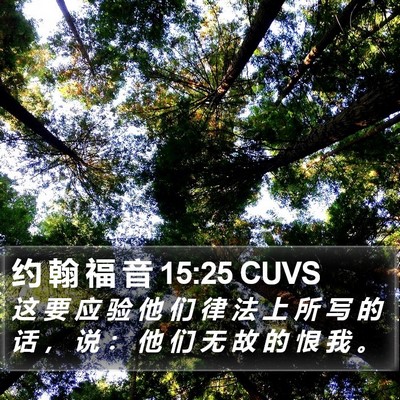 约 翰 福 音 15:25 CUVS Bible Verse Image