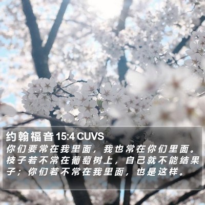 约 翰 福 音 15:4 CUVS Bible Verse Image