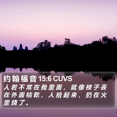 约 翰 福 音 15:6 CUVS Bible Verse Image
