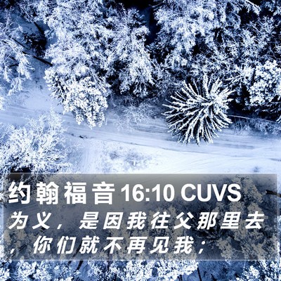 约 翰 福 音 16:10 CUVS Bible Verse Image