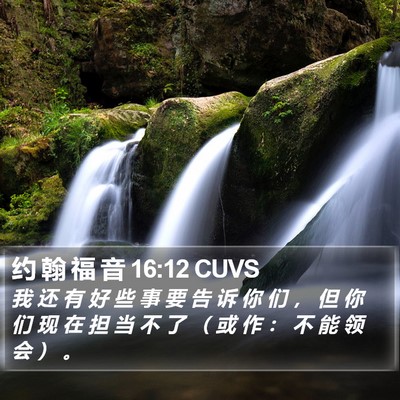 约 翰 福 音 16:12 CUVS Bible Verse Image