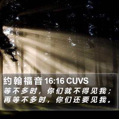 约 翰 福 音 16:16 CUVS Bible Verse Image