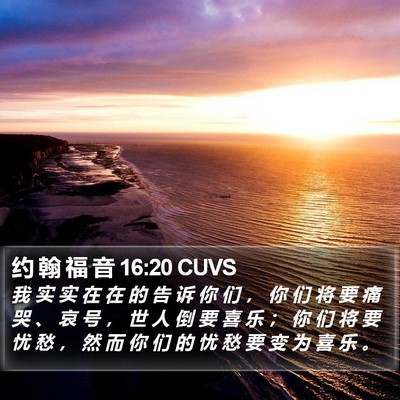 约 翰 福 音 16:20 CUVS Bible Verse Image
