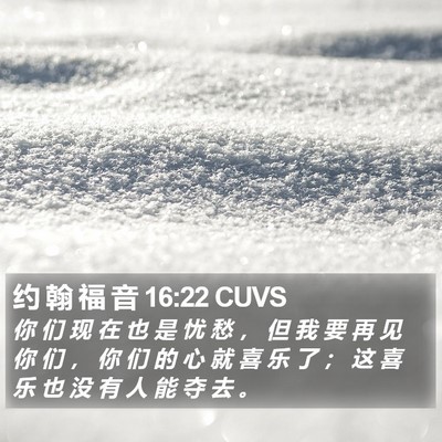 约 翰 福 音 16:22 CUVS Bible Verse Image