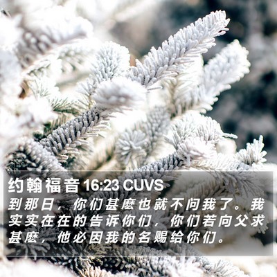 约 翰 福 音 16:23 CUVS Bible Verse Image